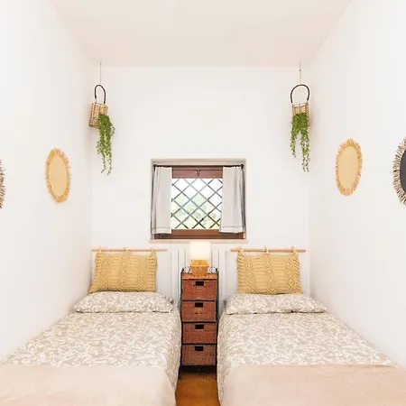 Rosellina Gialla Assisi Oasi Di Pace In Collina San Vitale