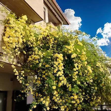 Rosellina Gialla Assisi Oasi Di Pace In Collina Διαμέρισμα