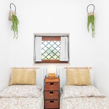 Rosellina Gialla Assisi Oasi Di Pace In Collina *