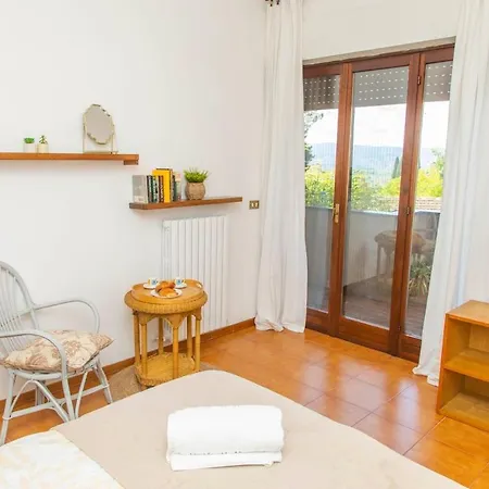 Rosellina Gialla Assisi Oasi Di Pace In Collina * San Vitale