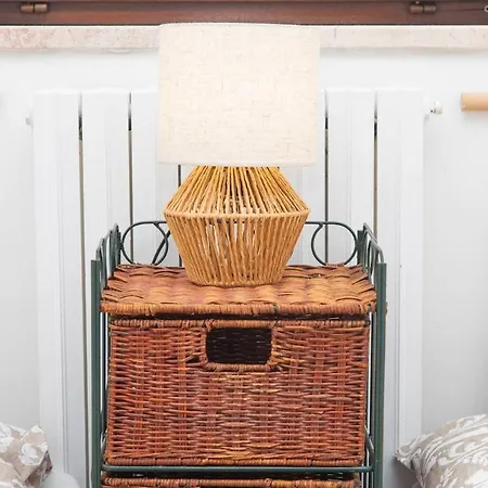 Rosellina Gialla Assisi Oasi Di Pace In Collina