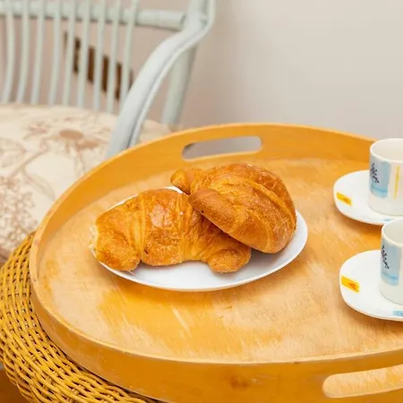 Rosellina Gialla Assisi Oasi Di Pace In Collina