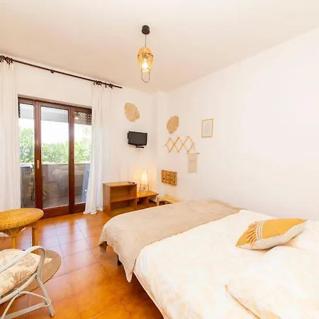 Rosellina Gialla Assisi Oasi Di Pace In Collina Apartman