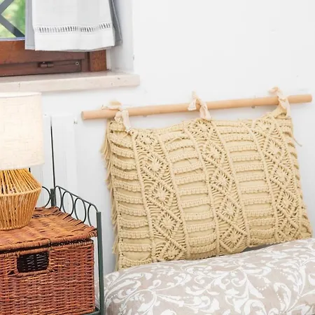 Rosellina Gialla Assisi Oasi Di Pace In Collina San Vitale