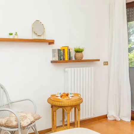 Rosellina Gialla Assisi Oasi Di Pace In Collina